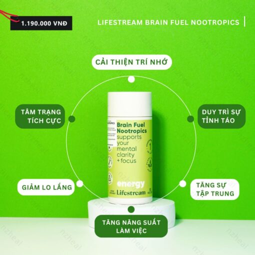 VIÊN UỐNG TĂNG CƯỜNG TẬP TRUNG, TỈNH TÁO VÀ NĂNG LƯỢNG LIFESTREAM BRAIN FUEL NOOTROPICS (60 viên)