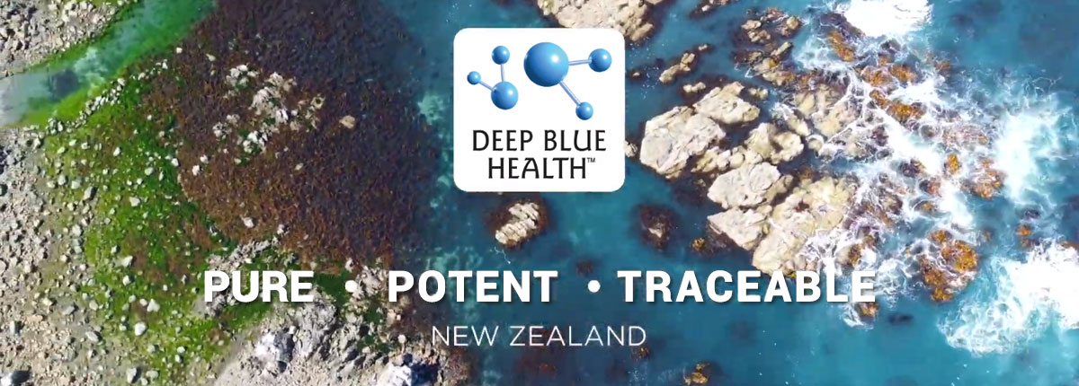 Thông tin về thương hiệu Deep Blue Health là một công ty bổ sung sức khỏe tự nhiên đang phát triển nhanh chóng. Thương hiệu cam kết tiếp tục đổi mới về sức khỏe tự nhiên và mang đến những sản phẩm cao cấp cho người tiêu dùng trên toàn thế giới. Về Deep Blue Health, đây là một câu chuyện về niềm đam mê đối với nguồn nguyên liệu thô và khoa học sức khỏe tự nhiên sáng tạo. Green Lipped Mussel từ biển Marlborough, ở Đảo Nam; Phấn hoa ong từ vùng Nelson và Nhung hươu từ các trang trại vùng cao của dãy núi Wanaka Alps với nhiều thành phần khác được chọn lọc từ các trang trại và nhà sản xuất địa phương của New Zealand. Tất cả các thành phần thô của Deep Blue Health đều được chuyển đổi thành các công thức mạnh mẽ, dựa trên kiến ​​thức chuyên môn từ lĩnh vực khoa học sức khỏe tự nhiên. Deep Blue Health đam mê và rất tự hào trong việc cung cấp các chất bổ sung sức khỏe tự nhiên tiên tiến mang lại kết quả sức khỏe tích cực cho bạn, gia đình và bạn bè của bạn.