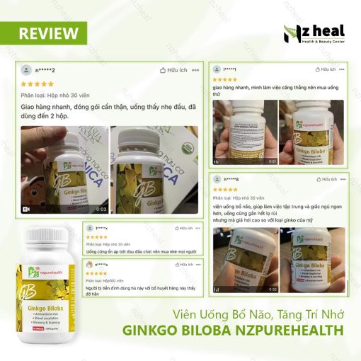 Viên Uống Bổ Não, Tăng Trí Nhớ Ginkgo Biloba NZPureHealth