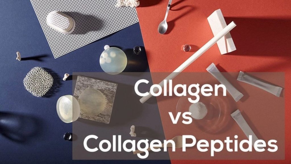 Collagen và Collagen Peptides: Sự khác biệt là gì?