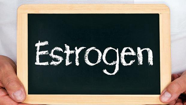 Điều gì sẽ xảy ra khi mức Estrogen quá cao hoặc quá thấp? 