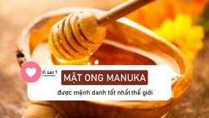 Mật ong Manuka - Tại sao được mệnh danh tốt nhất thế giới