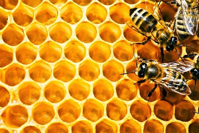 Xịt họng keo ong Propolis Spray Plus- Lựa chọn kháng khuẩn đường hô hấp mùa COVID 