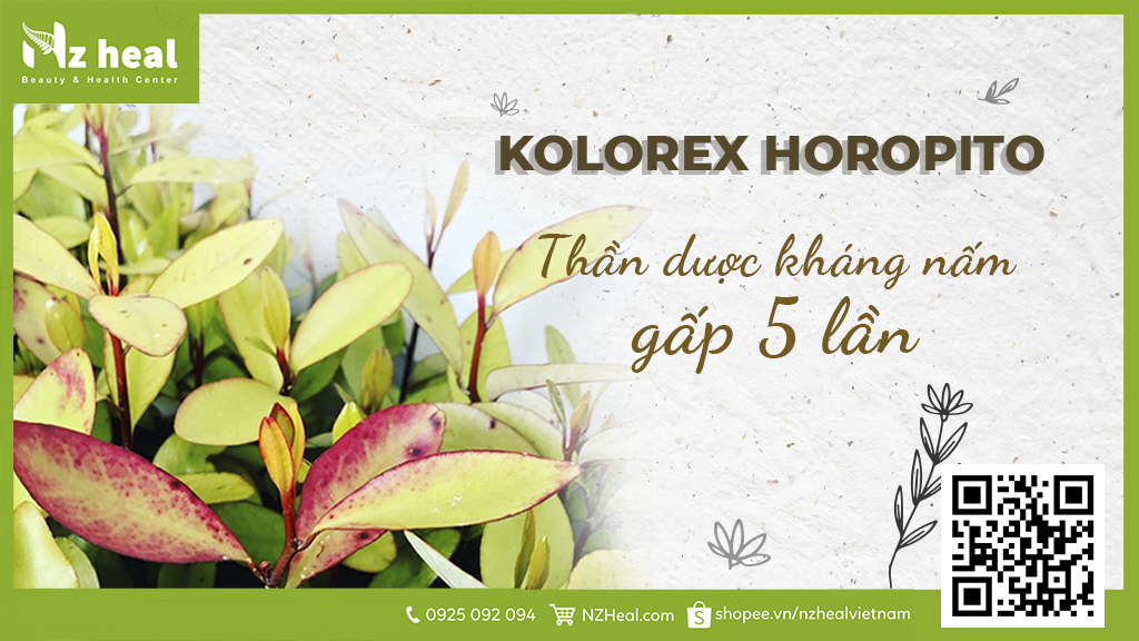 Kolorex Horopito – Thần dược kháng nấm gấp 5 lần