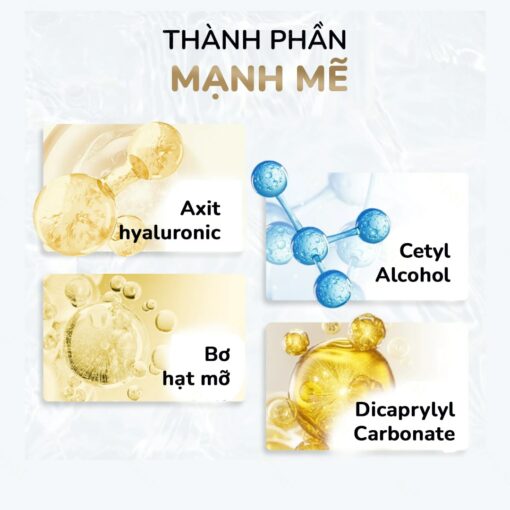 Kem dưỡng mắt Age No More Stem Cell Eye Creme (10ml) 1
