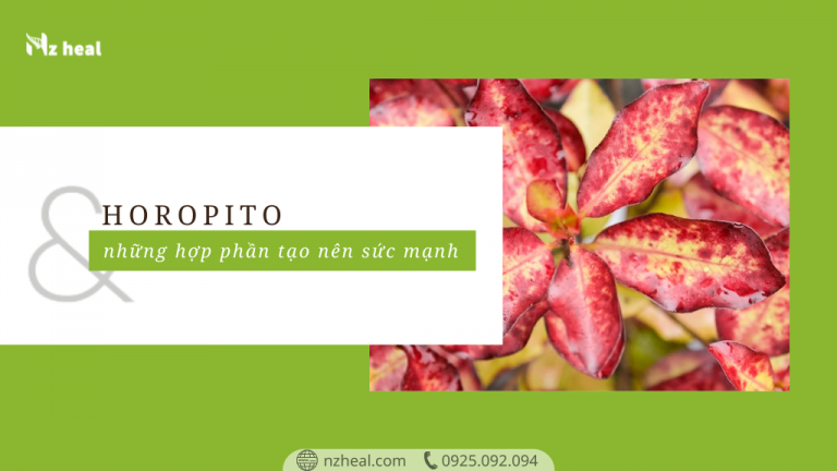 Horopito and it's hero ingredient