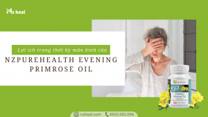 Lợi ích của viên dầu hoa anh thảo NzPurehealth Evening Primrose Oil trong thời kỳ mãn kinh