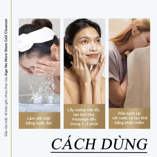 Sữa rửa mặt tế bào gốc nhau thai cừu Age No More Stem Cell Cleanser (50ml) 4