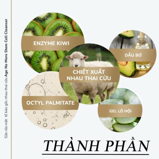 Sữa rửa mặt tế bào gốc nhau thai cừu Age No More Stem Cell Cleanser (50ml) 1