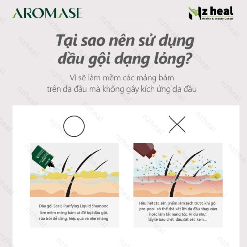 Dầu gội làm sạch sâu da đầu dạng lỏng Aromase 5α Juniper Scalp Purifying Liquid Shampoo 80ml 5