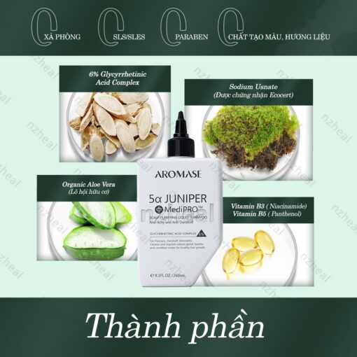 Dầu gội sạch da đầu chuyên sâu dạng lỏng Aromase 5α Juniper MediPRO Scalp Purifying Liquid Shampoo 80ml