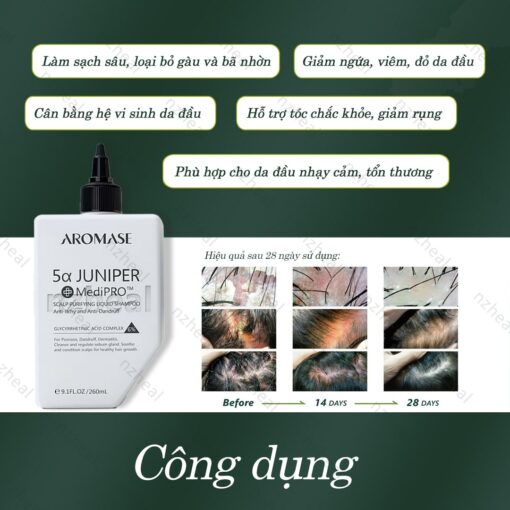 Dầu gội sạch da đầu chuyên sâu dạng lỏng Aromase 5α Juniper MediPRO Scalp Purifying Liquid Shampoo 80ml 1