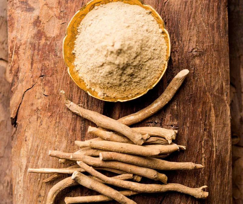 Giải mã 3 thảo dược tạo hiệu quả của Siro giảm lo âu Harker Herbals Stress Relief 3