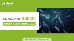 Dầu nhuyễn thể Krill Oil: Nguồn Omega 3 chất lượng cao