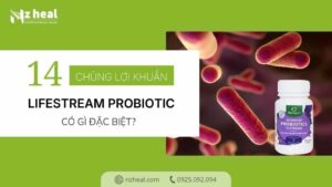 voi-14-chung-loi-khuan-lifestream-advanced-probiotic-co-gi-dac-biet
